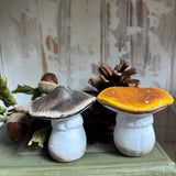 Little Toadstools - Set of 2 - Flat
