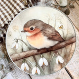 Little Robin Tin