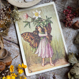 Flower Fairies Wooden Postcard - Windflower Fairy