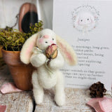 The Bunnies of Rose Petal Lane - Juniper