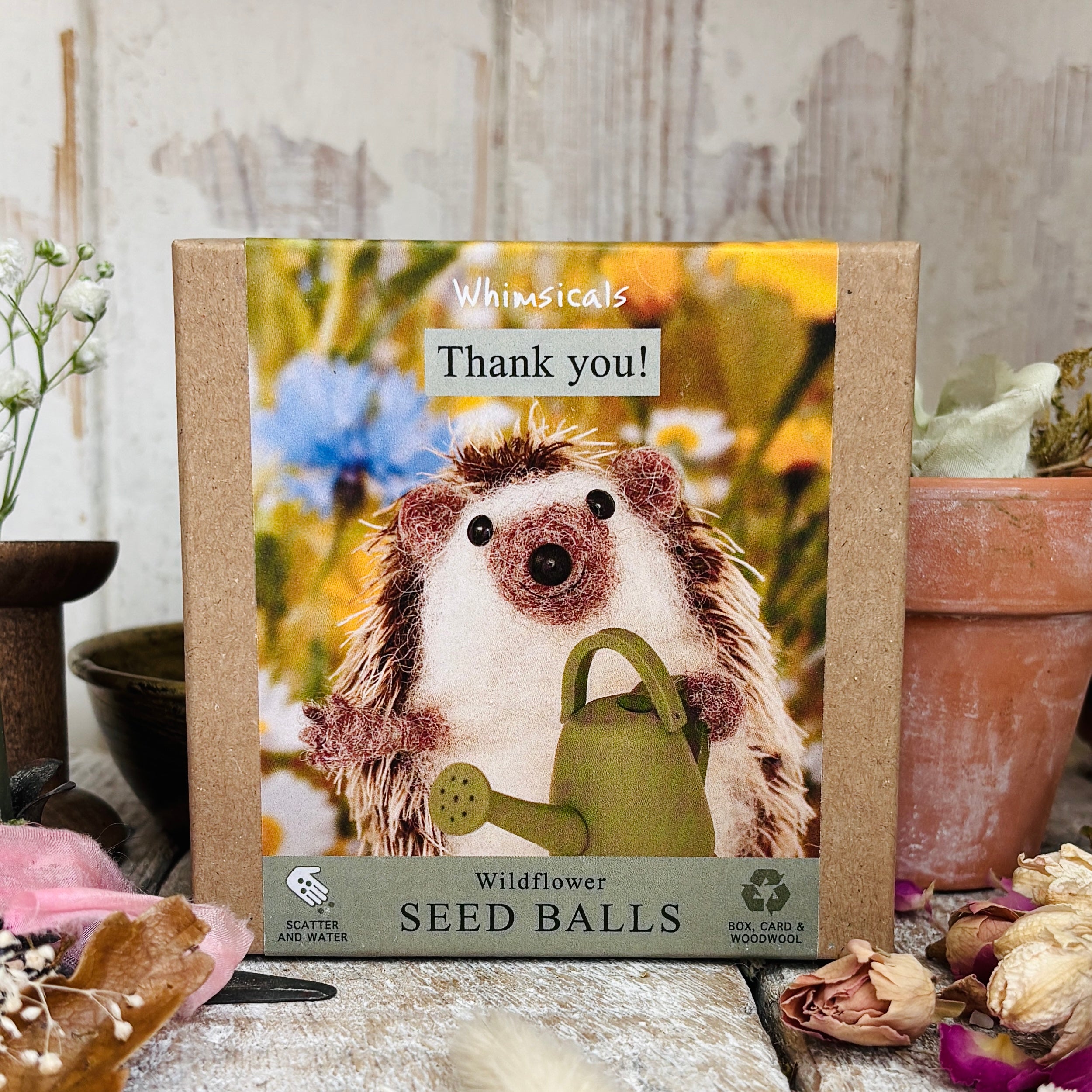 Wildflower Seed Balls - Little Hedgehog - Whimsicals By Desito
