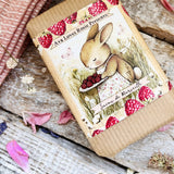 Savon De Marseille - Raspberry