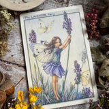 Flower Fairies Wooden Postcard - Lavender Fairy