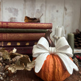 Pretty Little Pumpkin With Bow