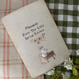 Memories From The Little Spring Kitchen