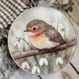 Little Robin Tin