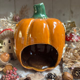 Adorable Ceramic Pumpkin House