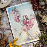 Flower Fairies Wooden Postcard - Almond Blossom Fairy