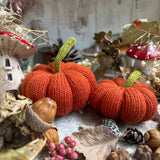 Sweet Little Pair Of Knit Pumpkins