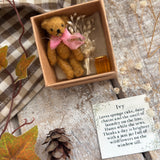 The Bears Of Wishing Wood - Tinies - Ivy