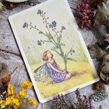 Flower Fairies Wooden Postcard - Forget Me Not Fairy