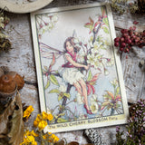 Flower Fairies Wooden Postcard - Wild Cherry Blossom Fairy