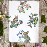 Postcard - Four Seasons (Wren & Blossom) - Molly Brett