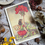 Flower Fairies Wooden Postcard - Geranium Fairy